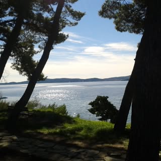 Profile Picture of Ivan Lake (@ivan_lake) on Instagram