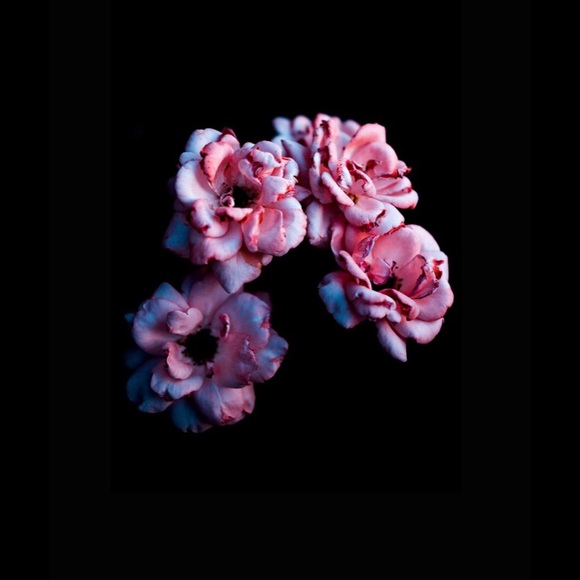 Profile Picture of Nathalia Fonseca (@natfonseca20) on Poshmark