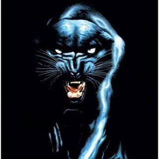 Profile Picture of Francesco Pucci (@Francesco-Pucci) on Facebook