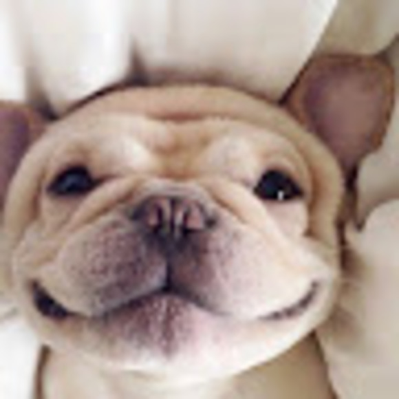 Profile Picture of Lucia Canales (@luciacanales286) on Poshmark