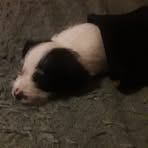 Profile Picture of David Rutz (@David-Rutz) on Facebook