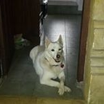 Profile Picture of Wayne Harry (@wayne.harry.94) on Instagram