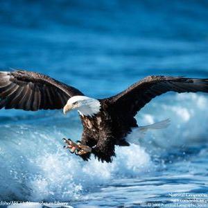 Profile Picture of Bailey Ramsey (@BaileyRamsey9) on Twitter