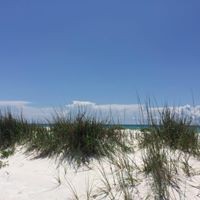 Profile Picture of Mandi Moyer (@mandi-moyer-4) on Quora