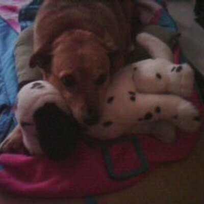 Profile Picture of Claire McIlroy (@claire_mcilroy) on Twitter