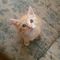 Profile Picture of Tina Keeney (@tina.keeney.90) on Facebook