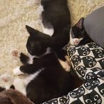 Profile Picture of Netta ♡ Lotta ♡ Missu (@netta.lotta.missu) on Instagram