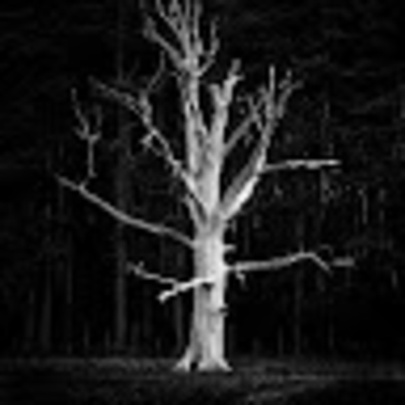 Profile Picture of Jonah Grubb (@jonahgrubb) on Poshmark