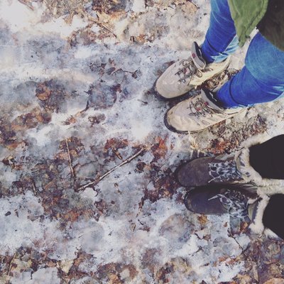 Profile Picture of Sarah Zinn (@pizzaroll911) on Twitter