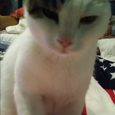 David Gilchrist - Twitter Profile Picture of David Gilchrist (@daveGilchrist83) on Twitter