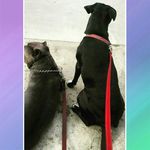 Profile Picture of Pam Davidson (@pamddavidson) on Instagram