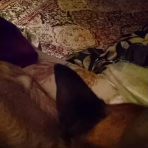 Profile Picture of Clifford Obrien (@cliffordobrien8) on Twitter