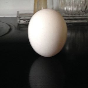 Profile Picture of M Gall (@minmonkey) on Myspace