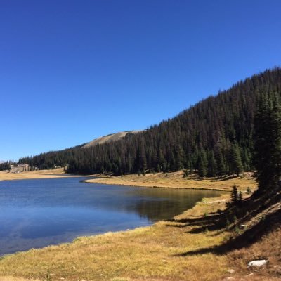 Profile Picture of Robert Scalley (@ScalleyRobert) on Twitter