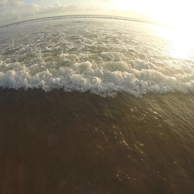 Profile Picture of Mark Braddy (@Markbraddy21) on Twitter