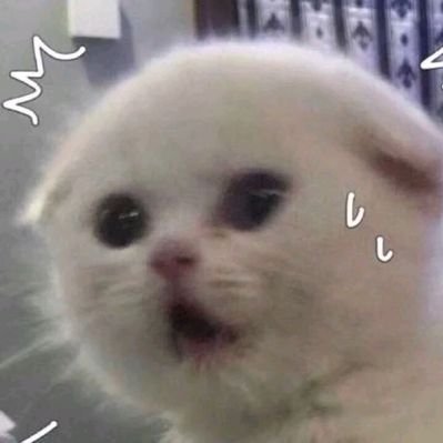 Profile Picture of 来口雪糕嘛 (@yun_qin_) on Twitter