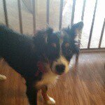 Profile Picture of kevin horstmann (@horstmann.k) on Instagram