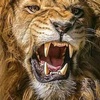 Profile Picture of Jonathan  Clement (@@jonathan3090) on Tiktok