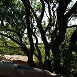 Profile Picture of Ernest François (@ernest.francois) on Instagram