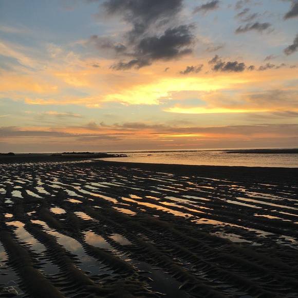 Profile Picture of Rachel Hermansen (@rachelhermansen) on Poshmark