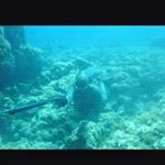 Profile Picture of Nicholas Stamataris (@nicholasstamataris) on Instagram