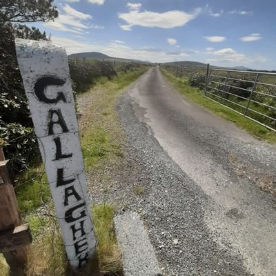 Profile Picture of Michael Gallagher (@MickeyGallMO) on Twitter