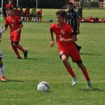 Profile Picture of matthew_broccoli (@matthew_broccoli) on Instagram