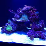 Profile Picture of Adam Blackford (@blackford5627) on Instagram