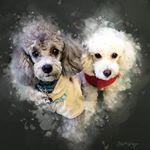 Profile Picture of 🤎LUKE & KNIGHT  🧩🧩 (@l_kbrothers) on Instagram