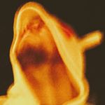 Profile Picture of David Brouillette (@david.brouillette.31) on Instagram