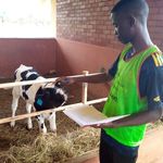 Profile Picture of Nesize K Joseph Kalobozi (@nesizekjoseph) on Instagram