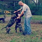 Profile Picture of Jeffrey Leonard (@jltrucker27) on Instagram