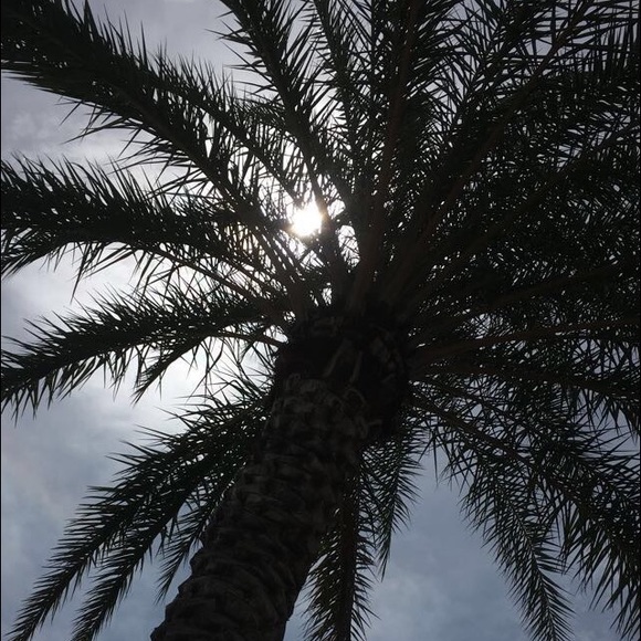 Profile Picture of Jada Miconi (@jadamic) on Poshmark