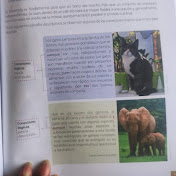 Profile Picture of Manuel Olvera (@ManuelOlvera-kz2fd) on Youtube