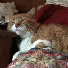 Profile Picture of Tracie G (@tracie_g87) on Tiktok