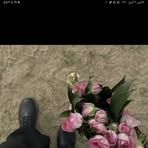 Profile Picture of Samah Hamdi (@Samah-Hamdi) on Facebook