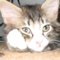 Profile Picture of Sky Bennett (@sky-bennett-7) on Quora