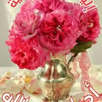 Profile Picture of مروه ام ياسر (@mrwh.am.yasr) on Facebook