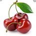 Profile Photo of  🍒 Cherries  🍒 (@CherriesL7371) on Twitter