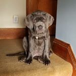 Profile Picture of todd terwilliger (@todd.terwilliger) on Instagram