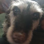 Profile Picture of Macie Walters (@macie_walters) on Instagram