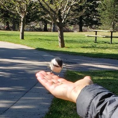 Profile Picture of Jerry Grab (@GrabXyz) on Twitter