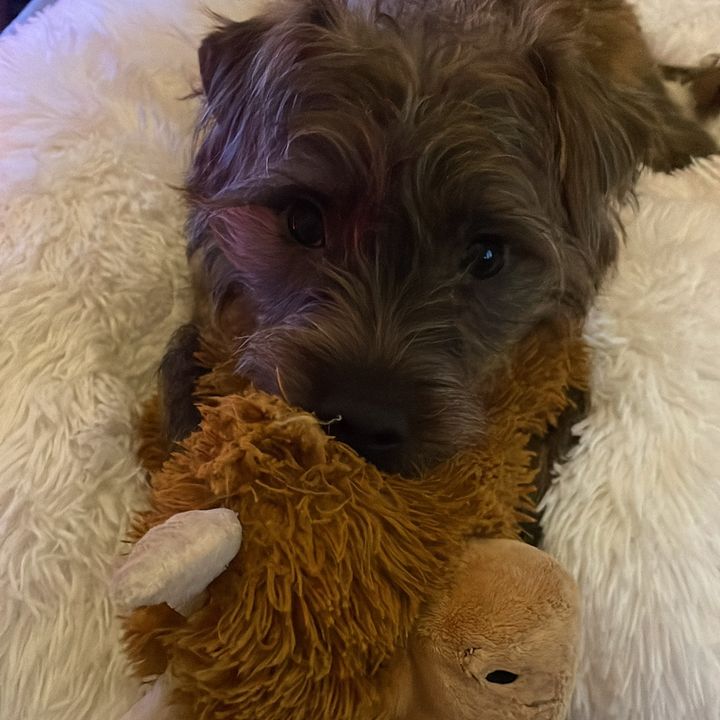 Profile Picture of Brooke Black (@brooke.black3) on Tiktok