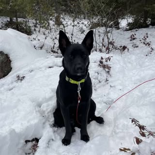 Profile Picture of dominik_champagne (@dominik_champagne) on Instagram