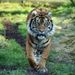 Profile Picture of Michael Ashkar Junior (@ashkarjunior) on Pinterest