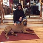 Sandra Bragg - Instagram Profile Picture of Sandra Bragg (@sandra_bragg) on Instagram