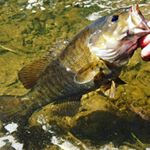 Profile Picture of Connor Kerr (@connor_kerr1997) on Instagram