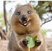 Profile Picture of Bill Reader (@bill.reader.397) on Facebook