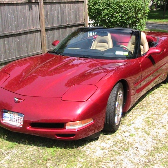 Calogero Nicolosi - Poshmark Profile Picture of Calogero Nicolosi (@cp_nicolosi) on Poshmark