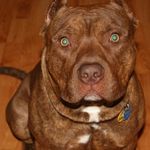 Profile Picture of Nathan Konrad List (@listnathan) on Instagram